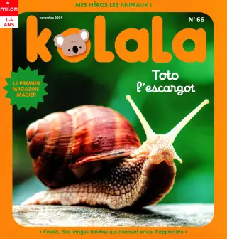 kolala maxi jeux