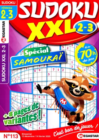 Sudoku XXL Niveau 2-3