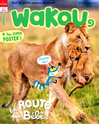 Abonnement Magazine Wakou